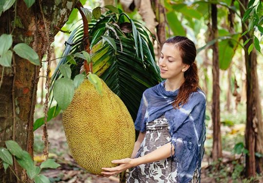 Jackfruit