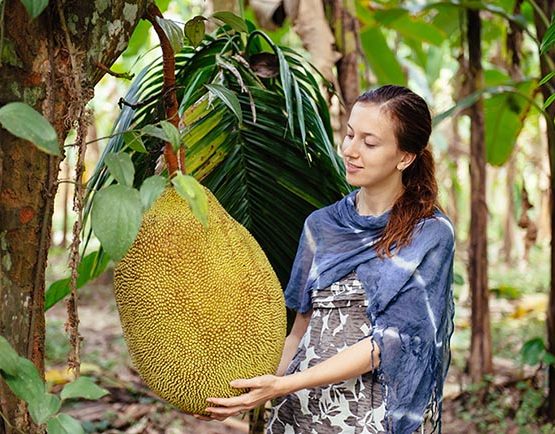 Jackfruit