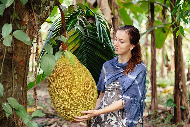 Jackfruit